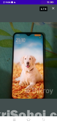 Vivo y11